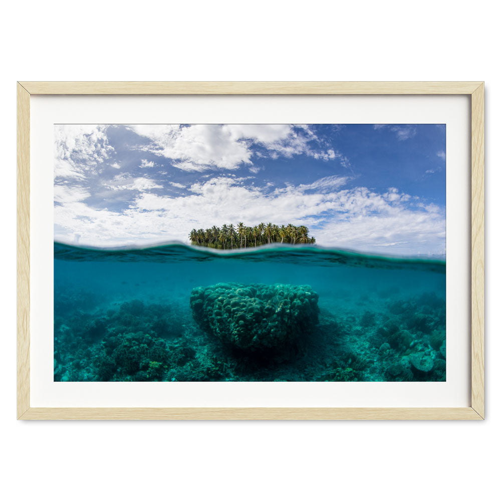 Alignment-Natural-Frame