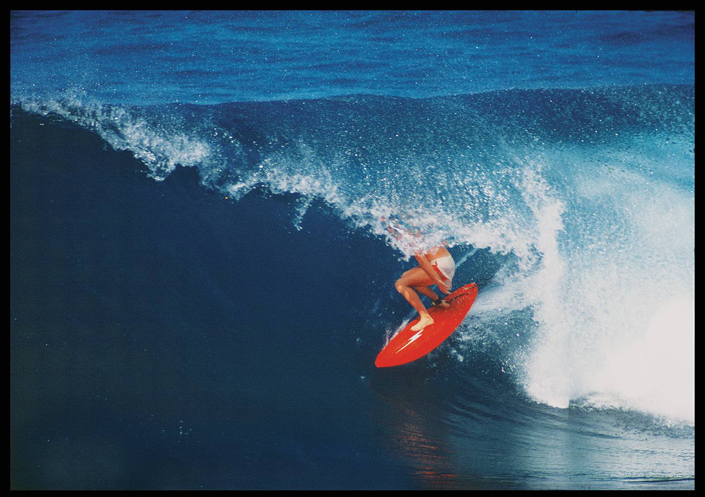 Wayne Bartholomew “Rabbit in a Burrow”