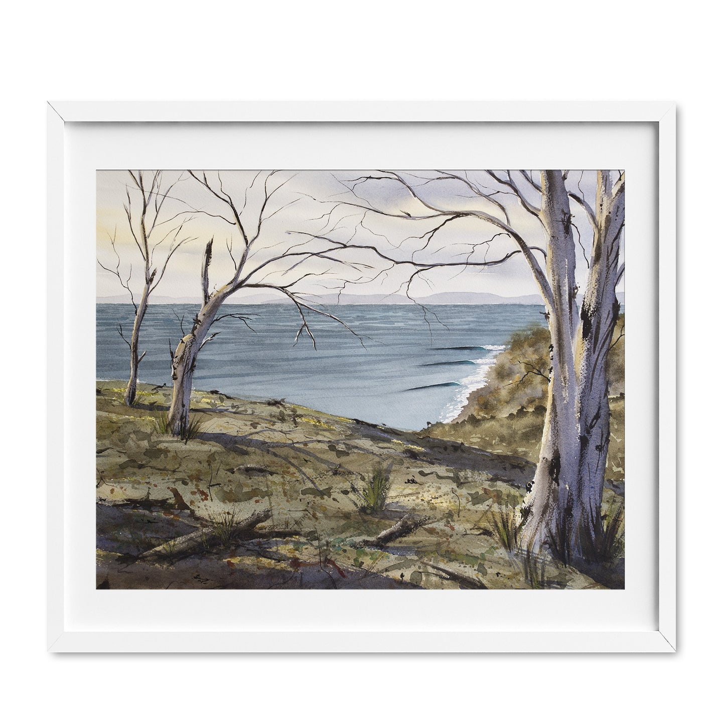Tassie