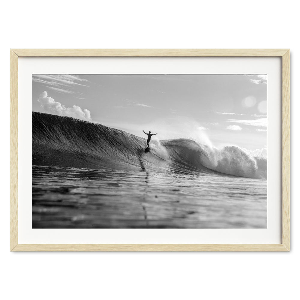 JohnBarton-1-GRATITUDE-natural-