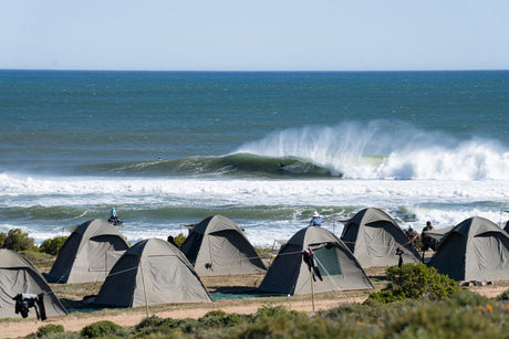How Natural Selection Built a Surf Contest in the Middle of the South African Desert