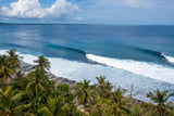 20. Over the coconut trees