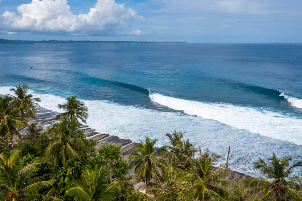 20. Over the coconut trees