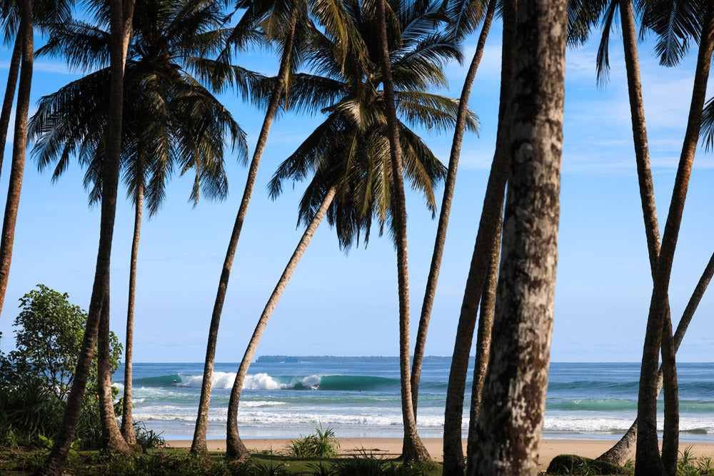 8 Mind Surfing Heaven