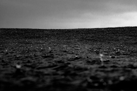 Budgen-Rain