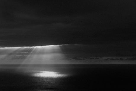 Budgen-Spotlight