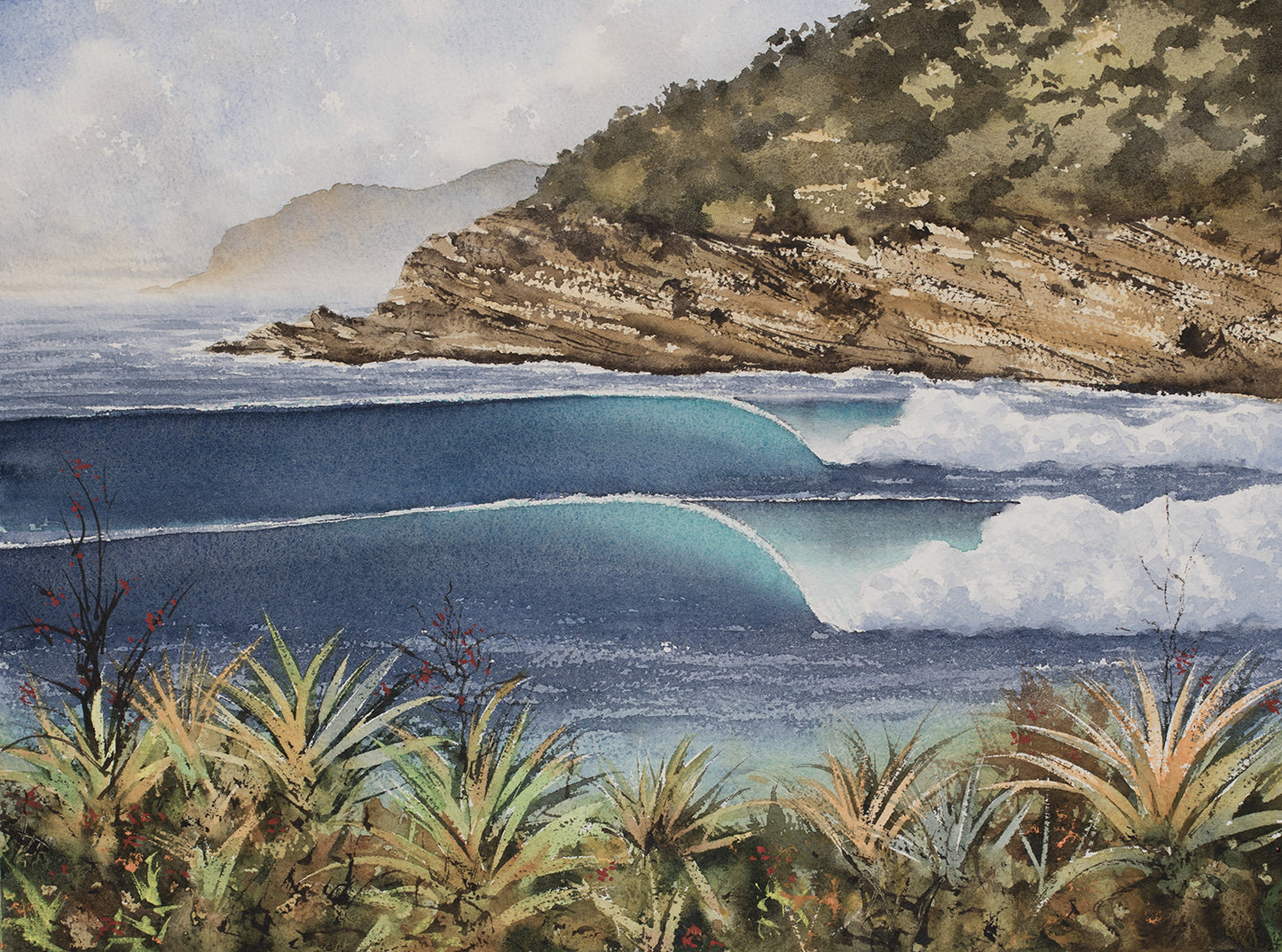 Mid North Coast