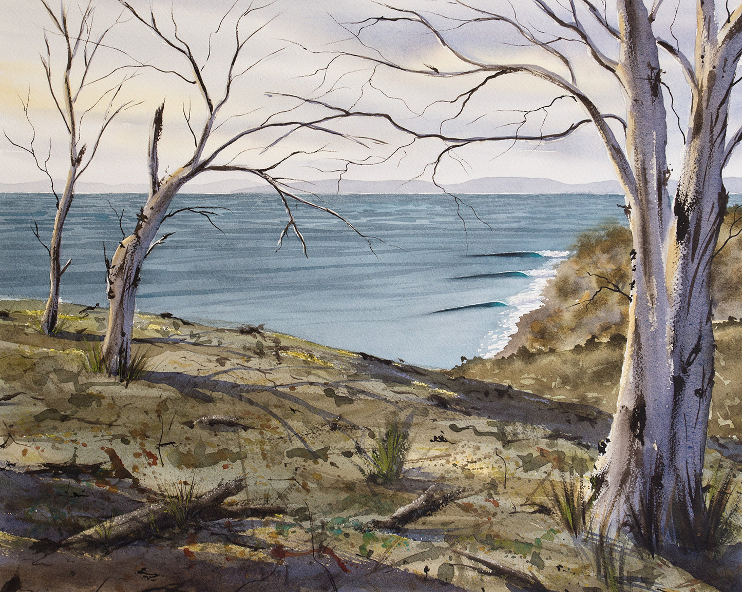 Tassie