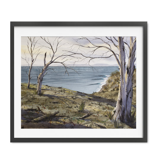 Tassie