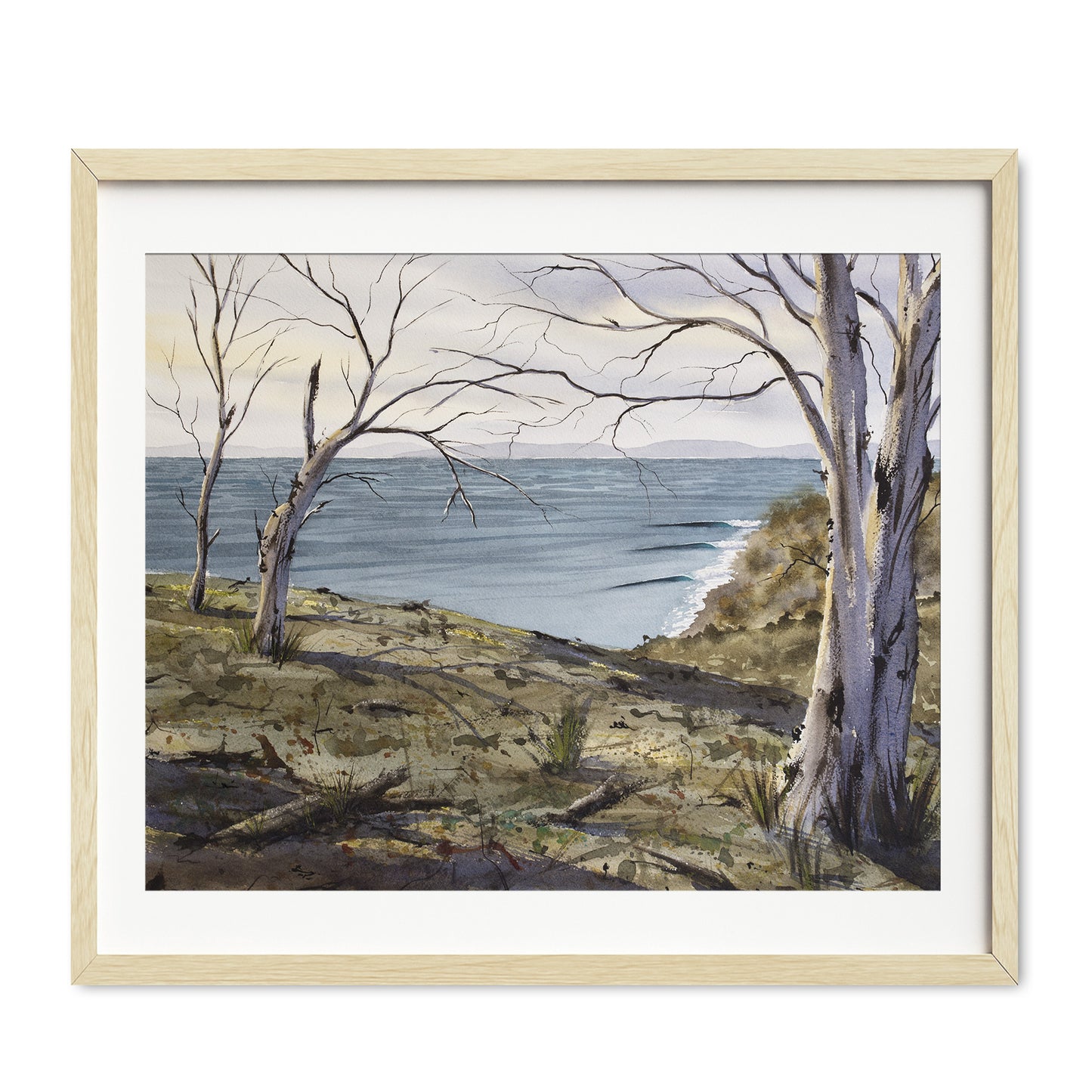 Tassie