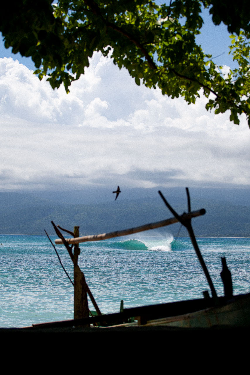 South-Sumatra-with-Bird---Sparkes