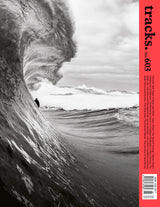 Issue 603