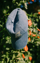 Conch Dad Cap - Atmosea